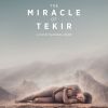 The Miracle of Tekir (2015)