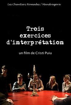 Trei exerciții de interpretare (2013) - Photo
