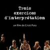 Trei exerciții de interpretare (2013)