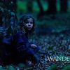 The Wanderers (2017)