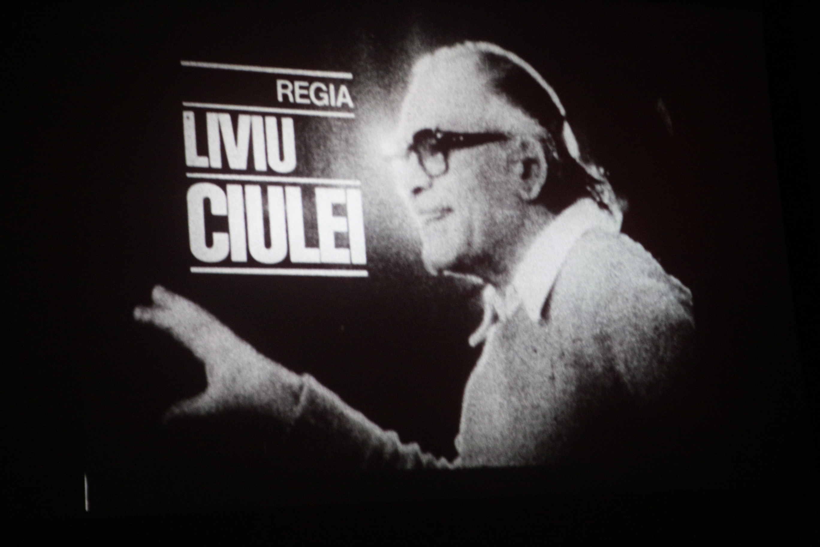 Regia: Liviu Ciulei (1979) - Photo