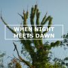 When Night Meets Dawn (2021)