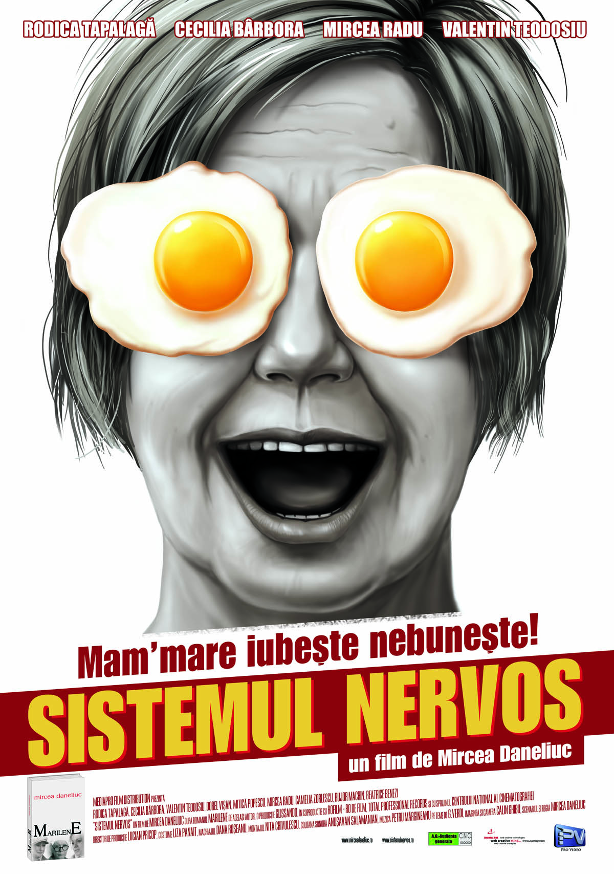 The Nervous Sistem (2004) - Photo