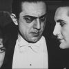Vampirul căzut - Bela Lugosi (2007)