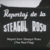 Reportaj de la Steagul Roşu (1956)